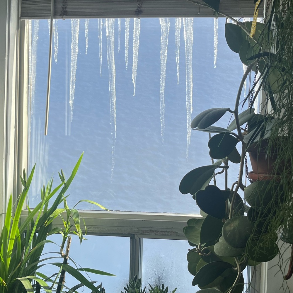 Meet your Posher, Miriam